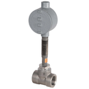 Bradley S19-319S4 Stainless Steel Flow Switch, 1 1/4" NPT