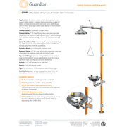 Guardian G1991 Safety Shower with Eyewash Station, All-Stainless Steel Construction