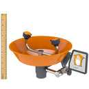 Guardian G1814P Wall Mounted Emergency Eyewash Station, Plastic Bowl