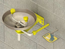 Acorn S0430-FRV Freeze Resistant Wall Mounted Eye Wash Station