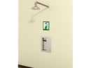 Acorn S2200-RA Recessed Activation Horizontal Drench Shower w/ SS Showerhead