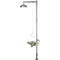 Acorn S2340-AS Combination Eye/Face Wash Station Drench Shower All Stainless