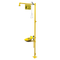 Bradley S19314P Halo Safety Shower Eyewash Station w/ Drench Hose