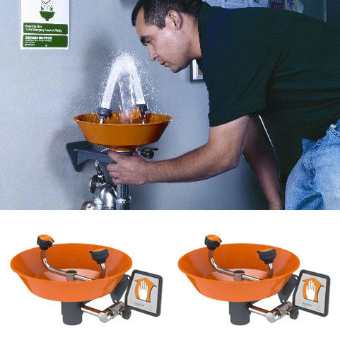 Wall Mount Eyewash Station - Guardian G1814P (2 Units)