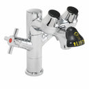 Speakman SEF-1850 Combination Eyewash & Faucet