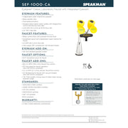 Speakman SEF-1000-CA No Lead, Brass Eyesaver gooseneck faucet eyewash for retrofit applications