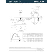 Speakman SEF-1000-CA No Lead, Brass Eyesaver gooseneck faucet eyewash for retrofit applications