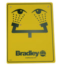 Bradley S19-270C Swing-Activated Laboratory Eyewash Universal Mount