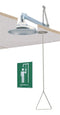 Haws 8169 Flush To Ceiling Drench Shower