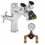 Speakman SEF-1850-TW Eyesaver Eye Wash Faucet Combination Single Post Laboratory Faucet with Thermostatic Mixing Valve