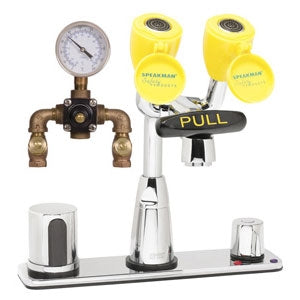 Speakman SEF-1814-TW Electronic Eyesaver(R) Eyewash and Lavatory Faucet, with Th