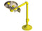 Acorn S0340-BF Barrier Free Pedestal Mounted Eye/Face Wash Station