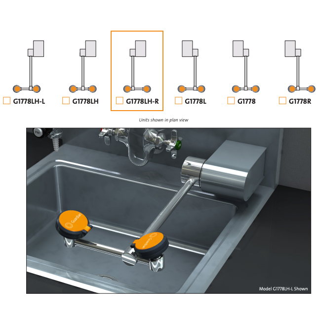 Guardian G1778LH-R Eye/Face Wash, Wall Mounted Swing-Down