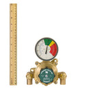 Leonard TA-300-LF Single Eye/Face Wash Thermostatic Mixing Valve, 2–10 GPM