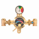 Leonard (TM-800-LF) Single or Multiple Drench or Combination Emergency Shower Thermostatic Mixing Valve, 20 GPM - TM-800-LF