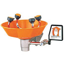Guardian G1724P Wall Mounted Eye/Face Wash