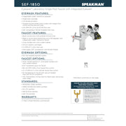 Speakman SEF-1850-8 EyeSaver Eye Wash and Faucet Combination