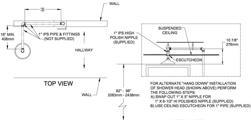 Haws 8164 Ceiling-Mounted Drench Shower In Recessed Stainless Steel Cabinet