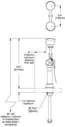 Bradley S19-460EFW Deck Mount Dual Head Eye Face Wash Drench Hose